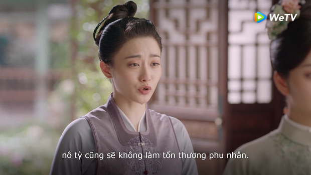 Trà xanh Cẩm Tâm Tựa Ngọc lộ mặt thật gian trá, hóa điên vì vợ cả Đàm Tùng Vận được sủng tới nóc - Ảnh 8. Trà xanh Cẩm Tâm Tựa Ngọc lộ mặt thật gian trá, hóa điên vì vợ cả Đàm Tùng Vận được sủng tới nóc - Ảnh 8.