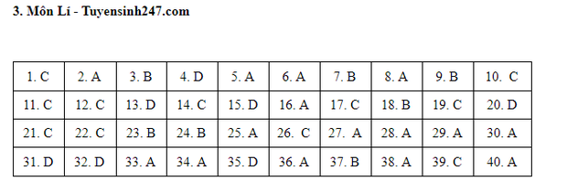 Đáp án toàn bộ các môn đề thi minh họa tốt nghiệp THPT Quốc gia 2021 - Ảnh 6.