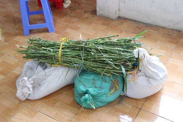 Vụ người phụ nữ mua quan tài về làm đám tang giả của chính mình: Hàng xóm hoài nghi vì chồng và con người mất không buồn, không khóc - Ảnh 2. Vụ người phụ nữ mua quan tài về làm đám tang giả của chính mình: Hàng xóm hoài nghi vì chồng và con người mất không buồn, không khóc - Ảnh 2.