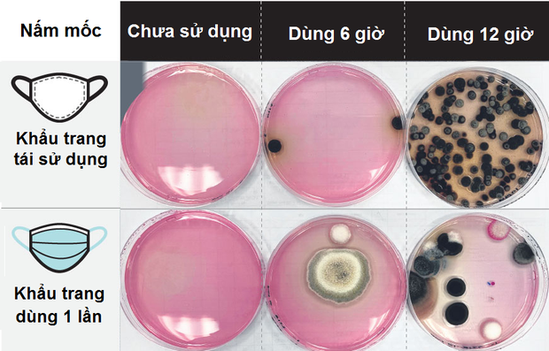 Khẩu trang  bẩn khủng khiếp sau 12 giờ sử dụng: Vi khuẩn, nấm mốc bu kín cho thấy dùng xong nên vứt đi luôn, không nên tiếc rẻ giữ lại - Ảnh 2.