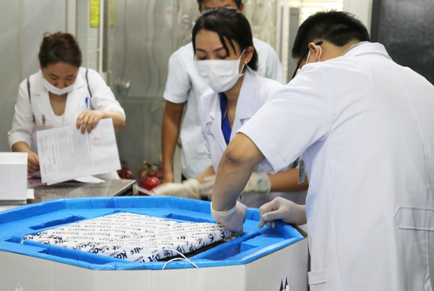 Cận cảnh BV Chợ Rẫy tiếp nhận lô thuốc giải độc tố nghi có trong pate chay, mỗi lọ hơn 6.000 USD - Ảnh 2.