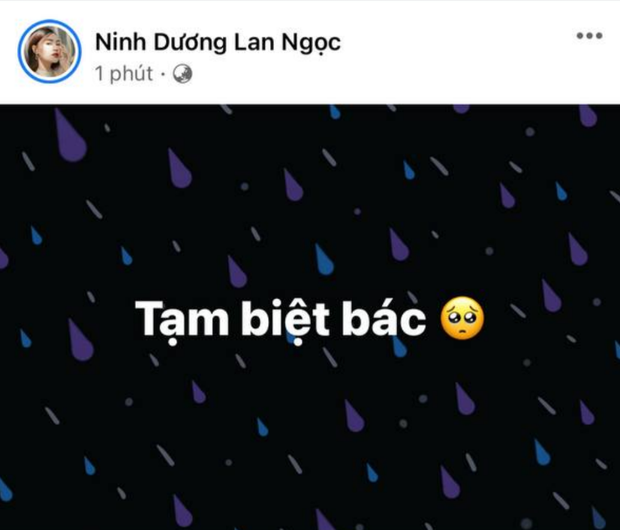 Chi Dân xót xa thông báo mẹ ruột qua đời, Lan Ngọc nói lời tiễn biệt, dàn sao Việt đồng loạt gửi lời chia buồn - Ảnh 4.