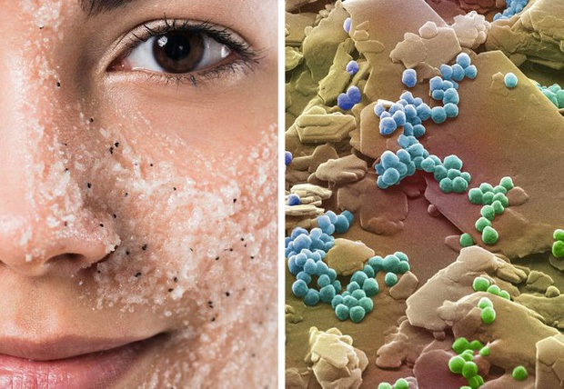 Nhìn dưới kính hiển vi loạt đồ vật như tế bào chết, trứng gà, cạnh giấy A4 sẽ trông như thế nào? - Ảnh 4.