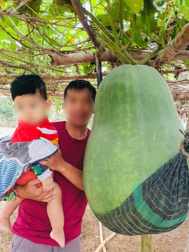 Anh chàng khoe trái bí đao “khủng long” nặng 50kg, dân mạng phán ngay kỷ lục Việt Nam nhưng sự thật khiến ai cũng bất ngờ - Ảnh 1.