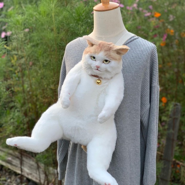 Balo mèo gây lú phá đảo trái tim netizen Nhật, giống thật tới nỗi hội chị em nhìn qua đã muốn xuống tiền mua luôn - Ảnh 3.