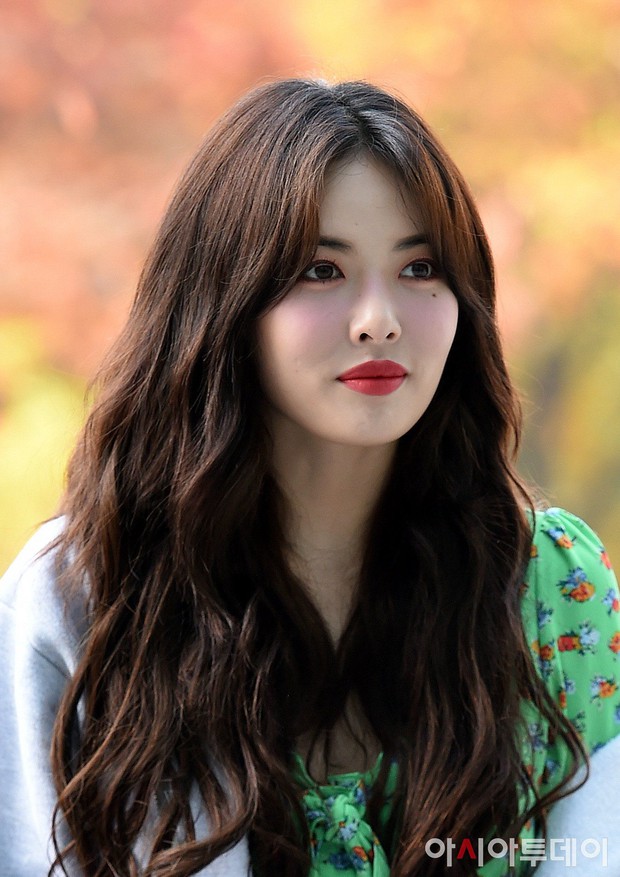 Không công ty nào tệ như công ty này: Đuổi Hyuna - Dawn vì công khai tình cảm, lấy lại bài hát của girlgroup ngay trước thềm comeback - Ảnh 6. Không công ty nào tệ như công ty này: Đuổi Hyuna - Dawn vì công khai tình cảm, lấy lại bài hát của girlgroup ngay trước thềm comeback - Ảnh 6.
