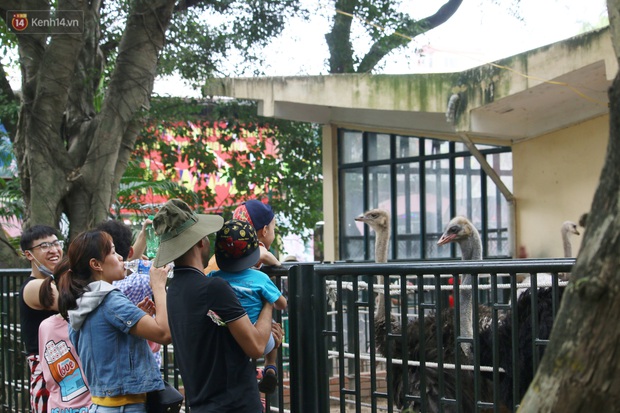 Hà Nội: Nhiều gia đình đưa con đổ về công viên Thủ Lệ vui chơi dịp nghỉ lễ Giỗ Tổ Hùng Vương - Ảnh 6.