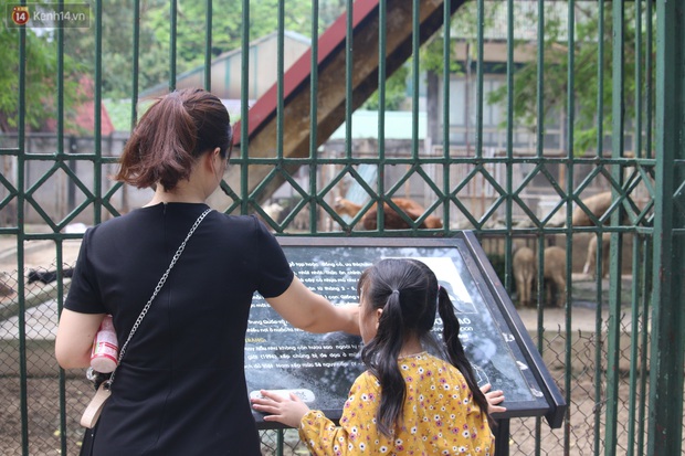 Hà Nội: Nhiều gia đình đưa con đổ về công viên Thủ Lệ vui chơi dịp nghỉ lễ Giỗ Tổ Hùng Vương - Ảnh 10.