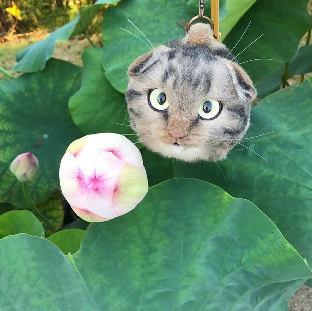 Balo mèo gây lú phá đảo trái tim netizen Nhật, giống thật tới nỗi hội chị em nhìn qua đã muốn xuống tiền mua luôn - Ảnh 13.