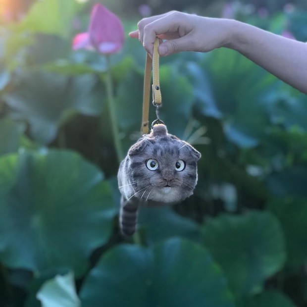 Balo mèo gây lú phá đảo trái tim netizen Nhật, giống thật tới nỗi hội chị em nhìn qua đã muốn xuống tiền mua luôn - Ảnh 12.