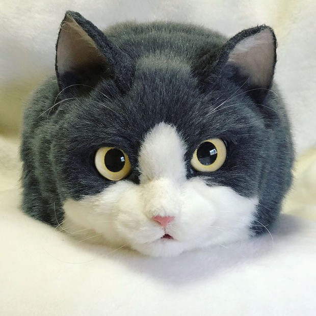 Balo mèo gây lú phá đảo trái tim netizen Nhật, giống thật tới nỗi hội chị em nhìn qua đã muốn xuống tiền mua luôn - Ảnh 16.