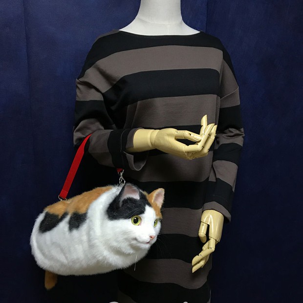 Balo mèo gây lú phá đảo trái tim netizen Nhật, giống thật tới nỗi hội chị em nhìn qua đã muốn xuống tiền mua luôn - Ảnh 14.