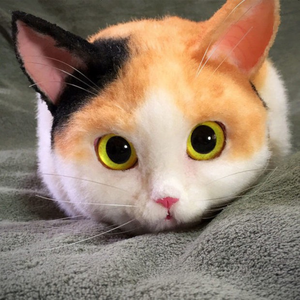 Balo mèo gây lú phá đảo trái tim netizen Nhật, giống thật tới nỗi hội chị em nhìn qua đã muốn xuống tiền mua luôn - Ảnh 17.