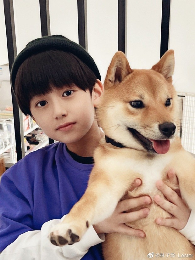 Sao nhí phim đam mỹ gây bão Cbiz nhờ clip nhạc Việt: Soái khí ngời ngời khiến chị em đổ gục, mỹ nam tiềm năng đây rồi - Ảnh 8.