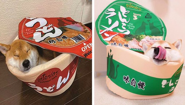 13 thiết kế nhìn lần đầu là mê, lần 2 là muốn xuống tiền để rước ngay về nhà - Ảnh 3. 13 thiết kế nhìn lần đầu là mê, lần 2 là muốn xuống tiền để rước ngay về nhà - Ảnh 3.