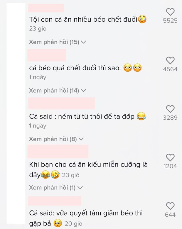 Bảo Thanh cho cá ăn mà xả mồi như quăng lựu đạn, dân mạng tưởng đâu chị có thù với cá hay gì! - Ảnh 6. Bảo Thanh cho cá ăn mà xả mồi như quăng lựu đạn, dân mạng tưởng đâu chị có thù với cá hay gì! - Ảnh 6.