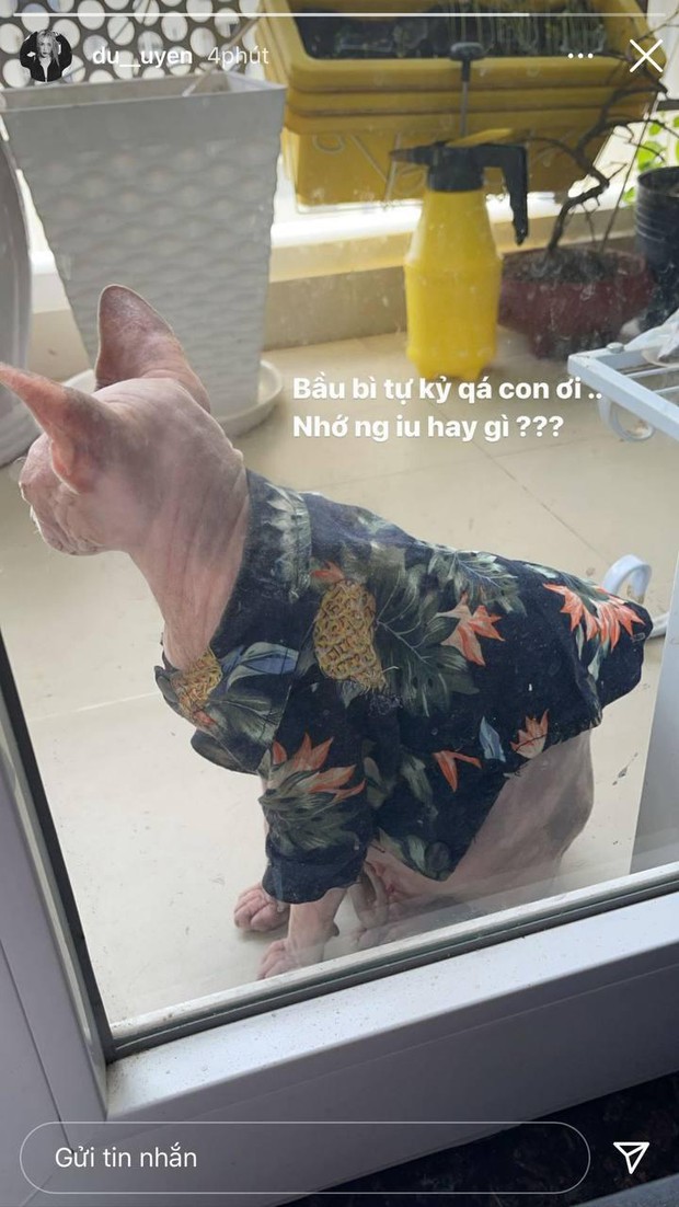 Du Uyên có động thái sau phát ngôn “nghèo nhưng không hèn” của Đạt G - Ảnh 2. Du Uyên có động thái sau phát ngôn “nghèo nhưng không hèn” của Đạt G - Ảnh 2.