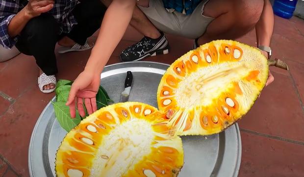 Hưng Vlog khoe cây mít ruột đỏ ở nhà, dân mạng cứ tưởng lại là trò trêu bà Tân nhưng sự thật bất ngờ thế này - Ảnh 2. Hưng Vlog khoe cây mít ruột đỏ ở nhà, dân mạng cứ tưởng lại là trò trêu bà Tân nhưng sự thật bất ngờ thế này - Ảnh 2.