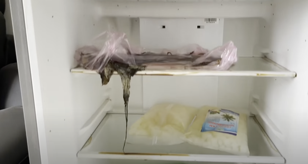 Quỳnh Trần JP bất ngờ tố 1 thanh niên ở Việt Nam sống sai: Bom tiền điện nước mấy tháng, biến căn chung cư cô cho thuê thành bãi rác - Ảnh 3. Quỳnh Trần JP bất ngờ tố 1 thanh niên ở Việt Nam sống sai: Bom tiền điện nước mấy tháng, biến căn chung cư cô cho thuê thành bãi rác - Ảnh 3.