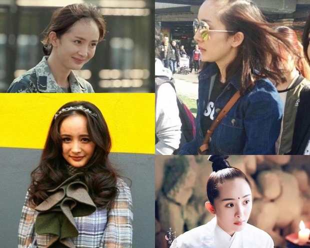 Chuyện hói đầu không của riêng ai: Đại diện Việt Nam có Phạm Hương, Châu Bùi nhưng sốc nhất phải là sao Hoa ngữ - Ảnh 5. Chuyện hói đầu không của riêng ai: Đại diện Việt Nam có Phạm Hương, Châu Bùi nhưng sốc nhất phải là sao Hoa ngữ - Ảnh 5.