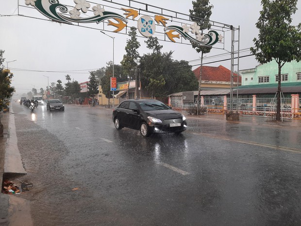Cây phượng bật gốc đè chết nữ điều dưỡng ở Sóc Trăng - Ảnh 4. Cây phượng bật gốc đè chết nữ điều dưỡng ở Sóc Trăng - Ảnh 4.