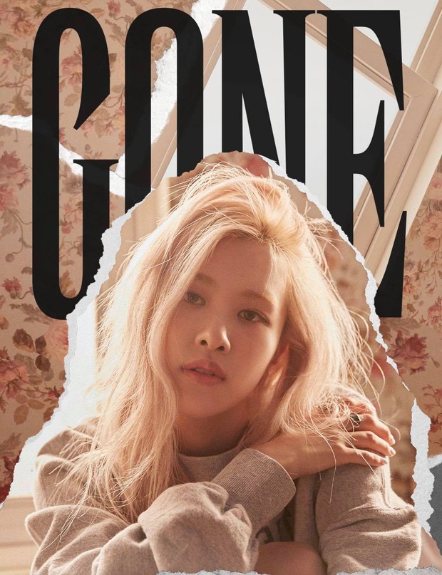 Đóa hồng nước Úc Rosé (BLACKPINK): Cô bé Hàn kiều với câu chuyện predebut không giống ai đến báu vật độc nhất của Kpop - Ảnh 2.