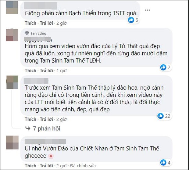 Hot YouTuber Lý Tử Thất khoe sắc giữa rừng hoa đào, netizen lại nhìn ra nàng Bạch Thiển của Tam Sinh Tam Thế? - Ảnh 13.