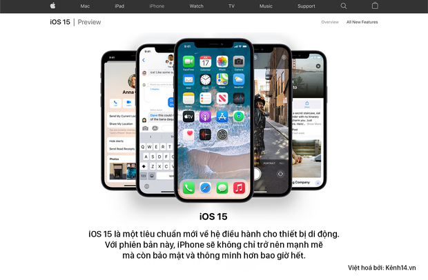 iOS 15 lộ ảnh concept đẹp lịm tim, iFan lại có một phen đứng ngồi không yên! - Ảnh 2.