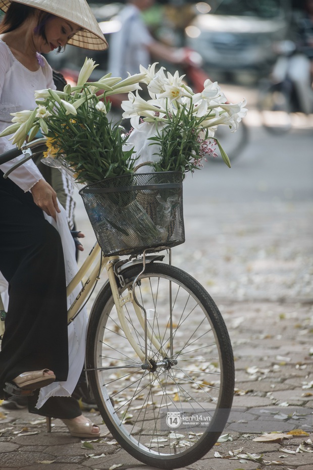 Hà Nội những ngày tháng 4, đi đâu cũng thấy bóng dáng loài hoa mỏng manh, tinh khôi và trong veo - Ảnh 8.