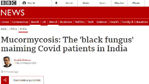 Mù lòa và thậm chí tử vong sau khi phục hồi, biến thể mới của Covid-19 ở Ấn Độ đáng sợ đến mức nào? - Ảnh 1.