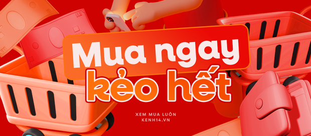 Bỏ thùng rác phèn phèn sắm thùng rác thông minh, nhà bạn sẽ sang hơn tức thì - Ảnh 9.