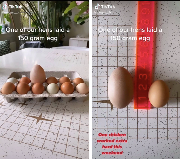 Đập quả trứng gà to gấp 3 lần bình thường, cô gái chết lặng khi nhìn thấy thứ nằm bên cạnh lòng đỏ - Ảnh 2.