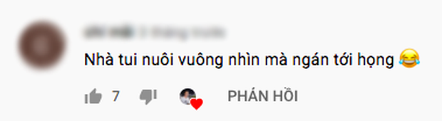 Clip cắt đôi con cua biển đỏ au nhận về hơn 2 triệu lượt xem, nhưng dân tình khi nhìn thấy bên trong lại rùng mình vì một lý do - Ảnh 7. Clip cắt đôi con cua biển đỏ au nhận về hơn 2 triệu lượt xem, nhưng dân tình khi nhìn thấy bên trong lại rùng mình vì một lý do - Ảnh 7.