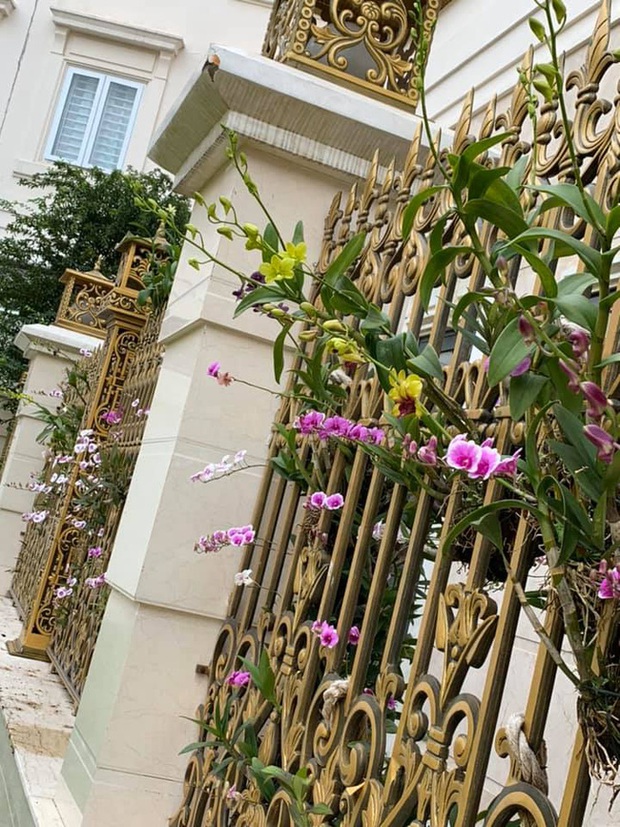 Trầm trồ chiếc hàng rào có hoa lan bung nở rực rỡ, dân mạng mải miết ghen tị vì gia chủ đã giàu lại còn biết cách chơi - Ảnh 2. Trầm trồ chiếc hàng rào có hoa lan bung nở rực rỡ, dân mạng mải miết ghen tị vì gia chủ đã giàu lại còn biết cách chơi - Ảnh 2.