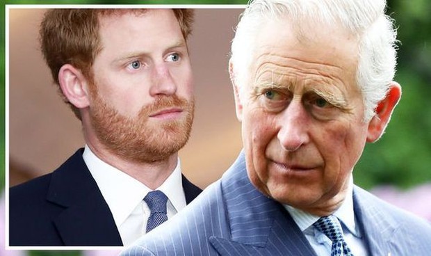 Vạch trần mục đích đen tối của Harry khi thực hiện cuộc tấn công cay nghiệt vào cha đẻ - Ảnh 2. Vạch trần mục đích đen tối của Harry khi thực hiện cuộc tấn công cay nghiệt vào cha đẻ - Ảnh 2.