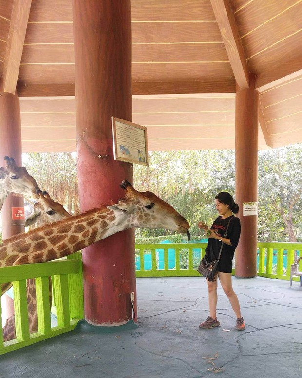 7 khu du lịch khét tiếng nhất Việt Nam: Đại Nam của bà Phương Hằng nắm giữ nhiều kỷ lục khủng, những chỗ còn lại cũng không kém cạnh - Ảnh 5. 7 khu du lịch khét tiếng nhất Việt Nam: Đại Nam của bà Phương Hằng nắm giữ nhiều kỷ lục khủng, những chỗ còn lại cũng không kém cạnh - Ảnh 5.