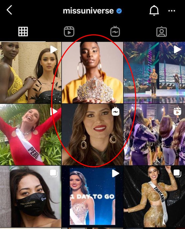 Hóa ra Miss Universe đã tung hint về chiến thắng của Hoa hậu Mexico trước đó trên MXH? - Ảnh 2.