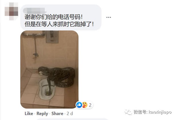 Bé Na dài 5m bất ngờ đột kích toilet quán cafe, bị phát giác liền chui vào bệ xí bỏ trốn - Ảnh 2. Bé Na dài 5m bất ngờ đột kích toilet quán cafe, bị phát giác liền chui vào bệ xí bỏ trốn - Ảnh 2.
