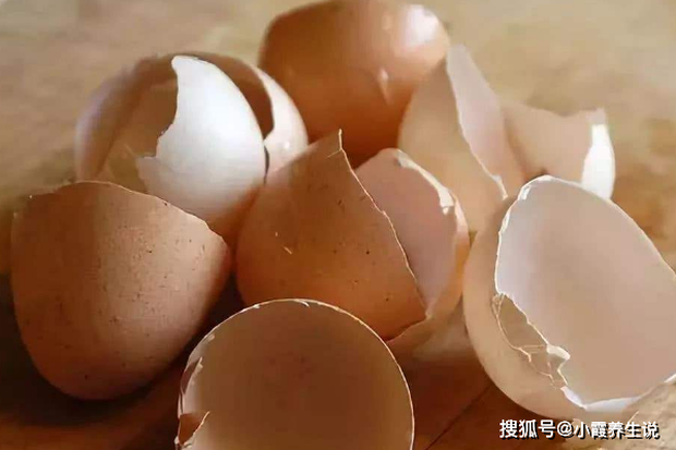 Sau khi ăn trứng, bạn đừng vội vứt bỏ vỏ trứng, nó có thể dùng làm thuốc chữa 4 loại bệnh thường gặp, vừa hiệu quả vừa tiết kiệm - Ảnh 1.