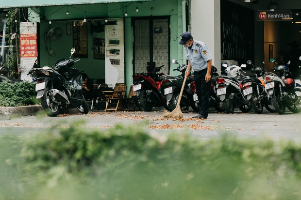 Sài Gòn mùa hoa dầu bay thống trị khắp phố: Giới trẻ check-in đẹp thổn thức, nhưng cô chú lao công chắc cực lắm à nghen! - Ảnh 11. Sài Gòn mùa hoa dầu bay thống trị khắp phố: Giới trẻ check-in đẹp thổn thức, nhưng cô chú lao công chắc cực lắm à nghen! - Ảnh 11.