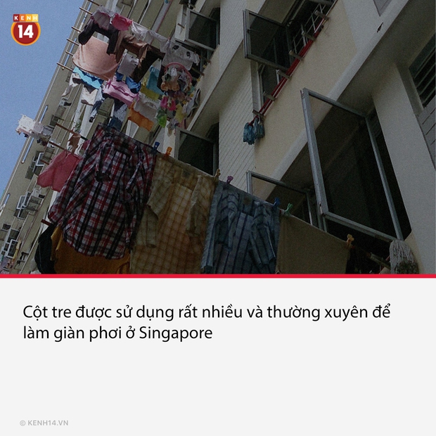 15 phong tục văn hóa nghe có vẻ kì quặc với chúng ta, nhưng hóa ra lại là bình thường ở nước bạn - Ảnh 13. 15 phong tục văn hóa nghe có vẻ kì quặc với chúng ta, nhưng hóa ra lại là bình thường ở nước bạn - Ảnh 13.