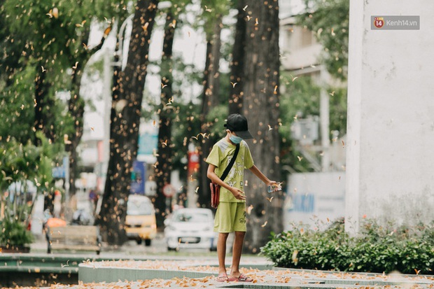 Sài Gòn bỗng nên thơ hơn bao giờ hết nhờ khoảnh khắc nghịch hoa chò của 2 vị phụ huynh vô cùng đáng yêu - Ảnh 3. Sài Gòn bỗng nên thơ hơn bao giờ hết nhờ khoảnh khắc nghịch hoa chò của 2 vị phụ huynh vô cùng đáng yêu - Ảnh 3.