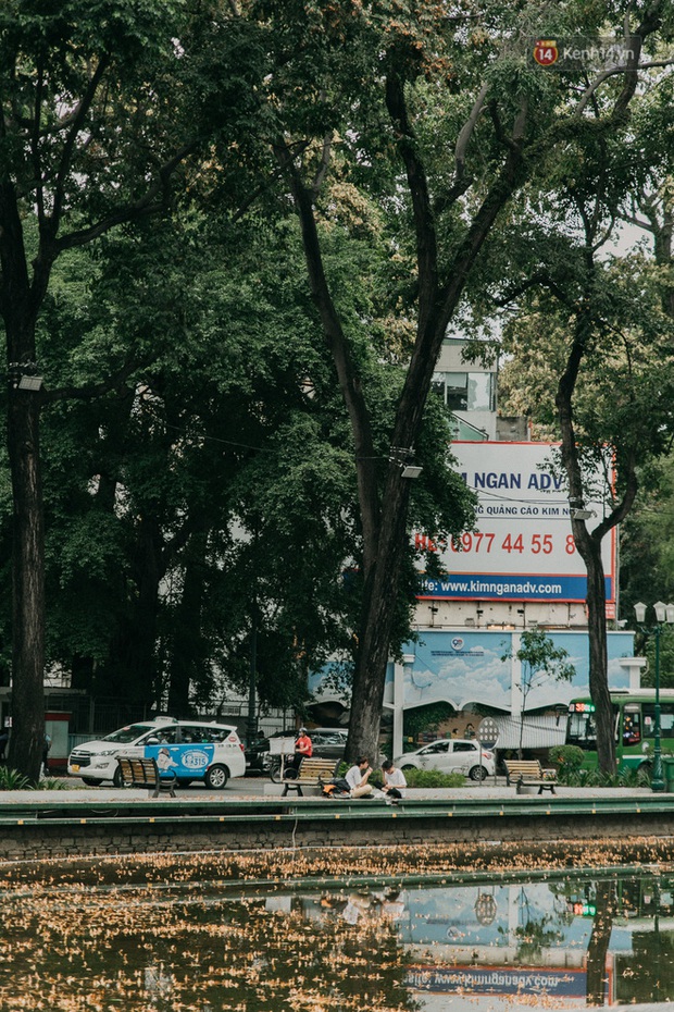 Sài Gòn bỗng nên thơ hơn bao giờ hết nhờ khoảnh khắc nghịch hoa chò của 2 vị phụ huynh vô cùng đáng yêu - Ảnh 7. Sài Gòn bỗng nên thơ hơn bao giờ hết nhờ khoảnh khắc nghịch hoa chò của 2 vị phụ huynh vô cùng đáng yêu - Ảnh 7.