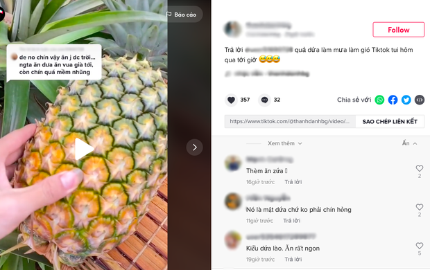 Tranh cãi clip về loại dứa thịt trong suốt, chảy mật vàng ươm khi bổ ra: Sự thật làm nhiều người được mở mang đầu óc - Ảnh 3.