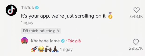 Cả gan cà khịa TikTok, anh da đen Khabane Lame bốc hơi ngay 1 triệu follower, nhưng câu chốt của TikTok mới khiến netizen trầm trồ - Ảnh 4.