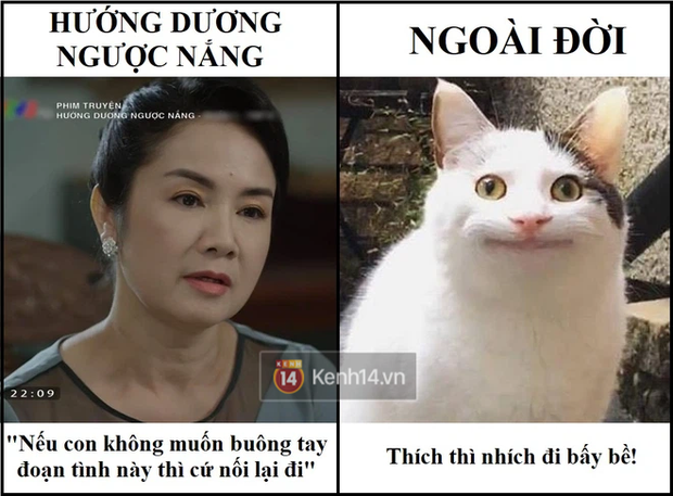 Hướng Dương Ngược Nắng hay ngược đãi khán giả? - Ảnh 5. Hướng Dương Ngược Nắng hay ngược đãi khán giả? - Ảnh 5.