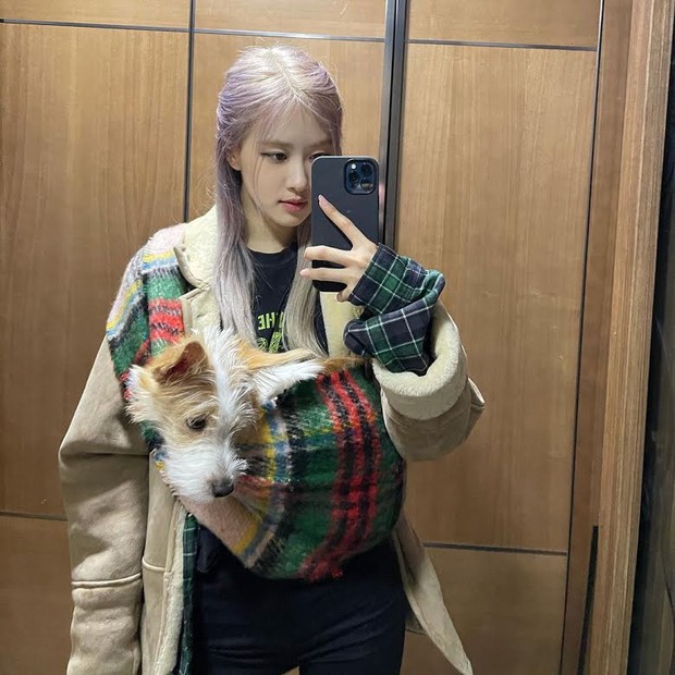 Sống ảo đổi tên Instagram như BLACKPINK: Rosé bê cả vườn hoa vào rồi không chọn được tên cho cún, Jisoo chắc ăn ngay từ đầu - Ảnh 14. Sống ảo đổi tên Instagram như BLACKPINK: Rosé bê cả vườn hoa vào rồi không chọn được tên cho cún, Jisoo chắc ăn ngay từ đầu - Ảnh 14.