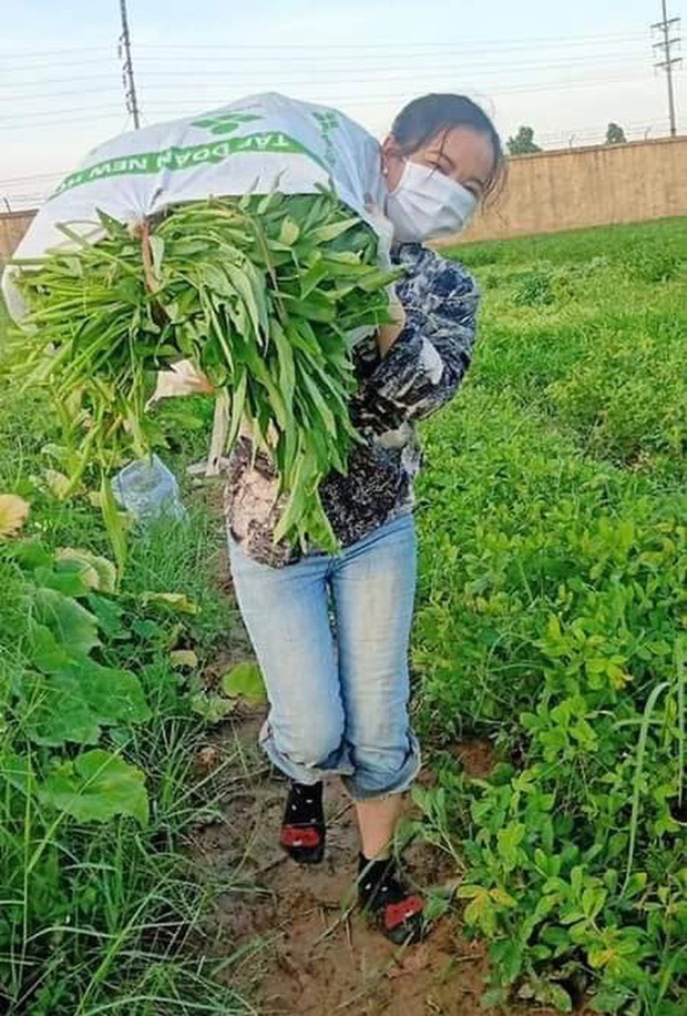 Cụ chỉ có quả đu đủ, các con đi tình nguyện thì mang cho công nhân đang cách ly giùm cụ - Ảnh 6. Cụ chỉ có quả đu đủ, các con đi tình nguyện thì mang cho công nhân đang cách ly giùm cụ - Ảnh 6.