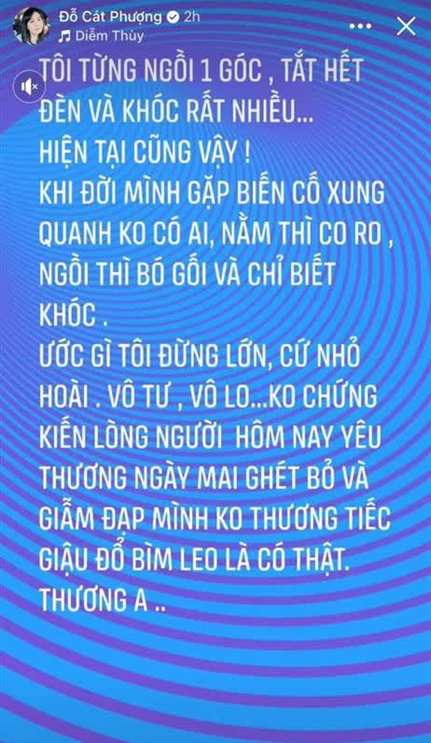 Lùm xùm chưa dứt, bài đăng bảo vệ NS Hoài Linh của Cát Phượng bỗng bay màu khó hiểu - Ảnh 4.