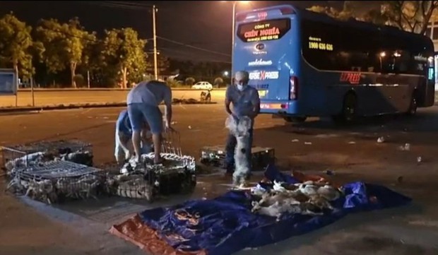 Vụ tài xế nhốt cảnh sát trên xe, tông vào chốt kiểm dịch Covid-19: Xe chở lậu 156 con chó mèo, hơn một nửa đã bị chết ngạt - Ảnh 1.
